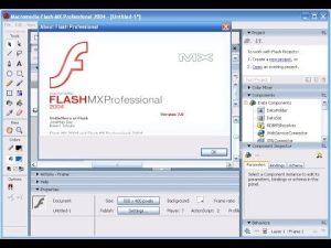 Adobe Flash MX 2004 Updater