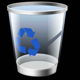 Holiday Recycle Bin Icons